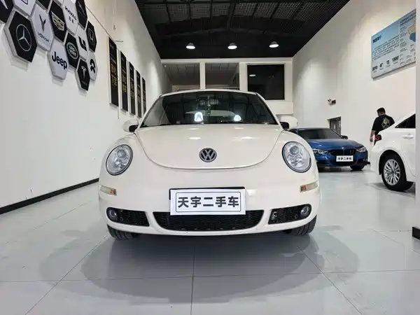 Volkswagen Beetle 2009