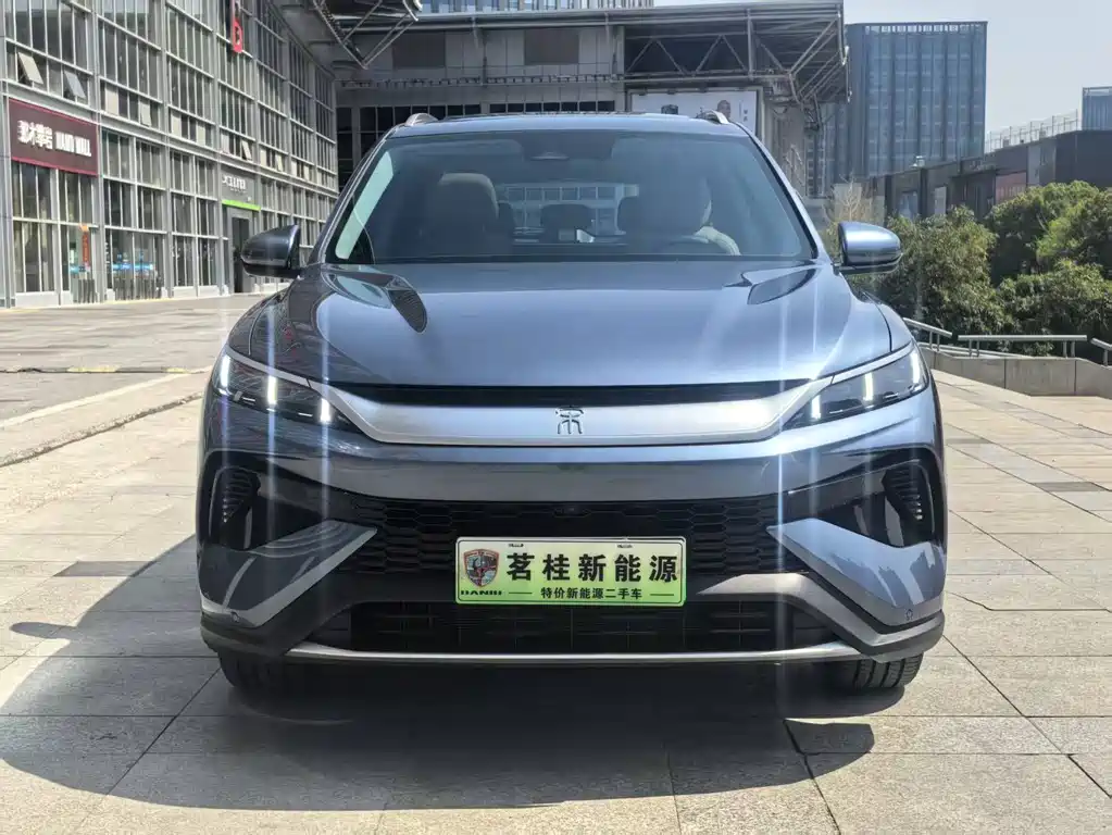 BYD Pro New Energy 2025 — фото 4