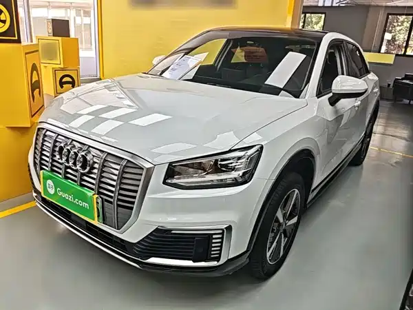 Audi Q2L E-Tron 2020
