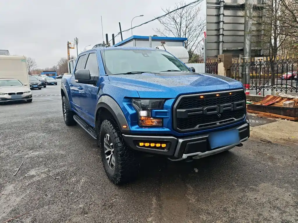Ford F-150 Raptor 2018 — фото 22