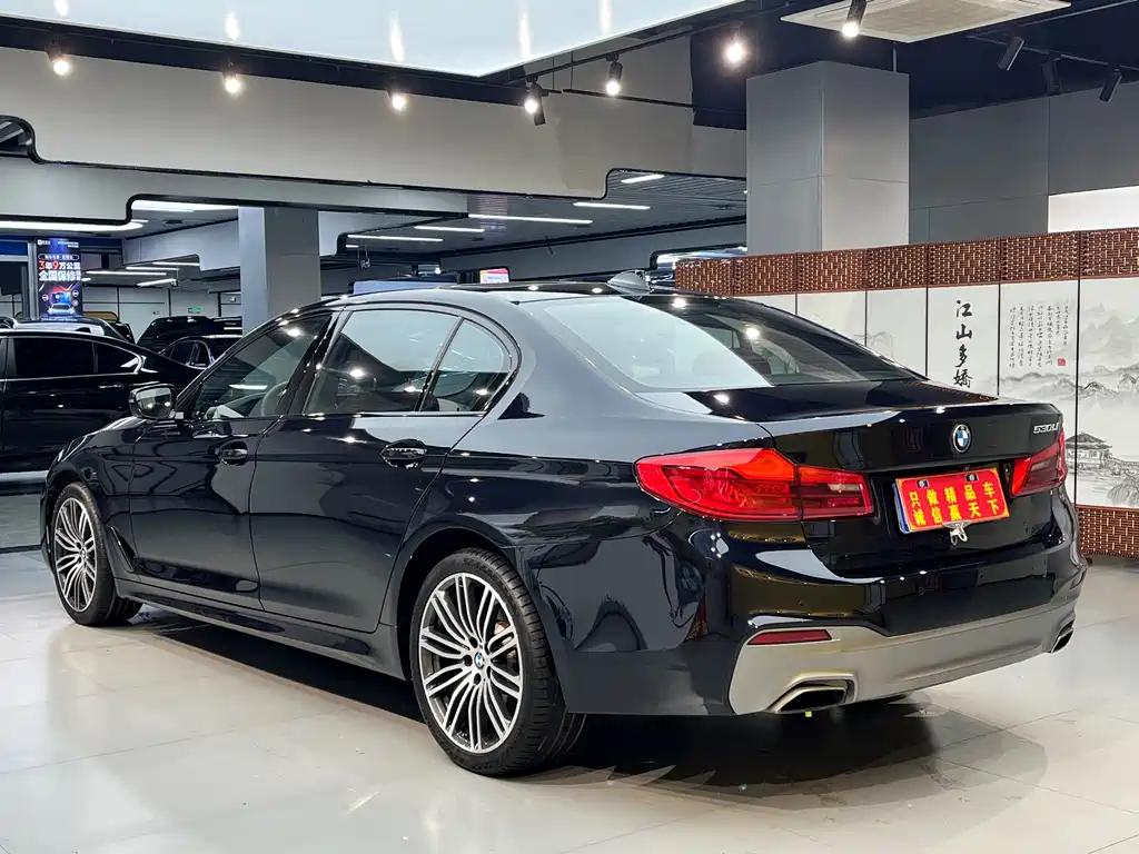 BMW 5 Series 2019 — фото 13