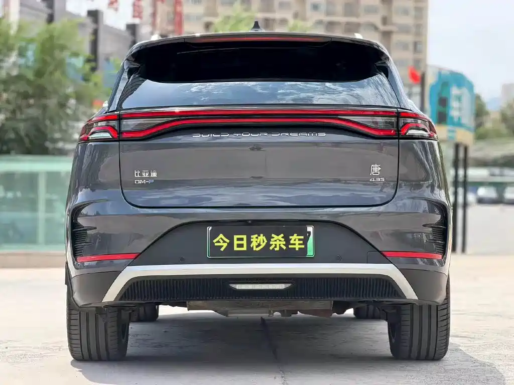 BYD Tang New Energy 2023 — фото 8