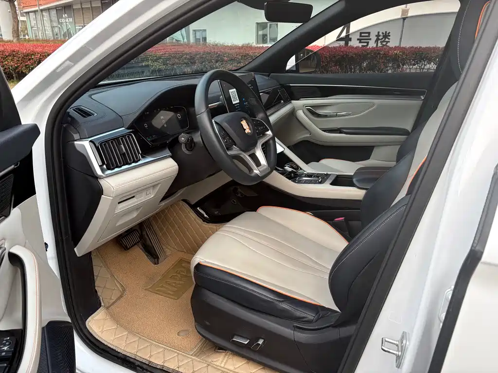BYD PLUS New Energy 2022 — фото 4