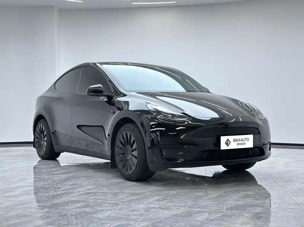 Tesla Model Y 2023 — фото 2