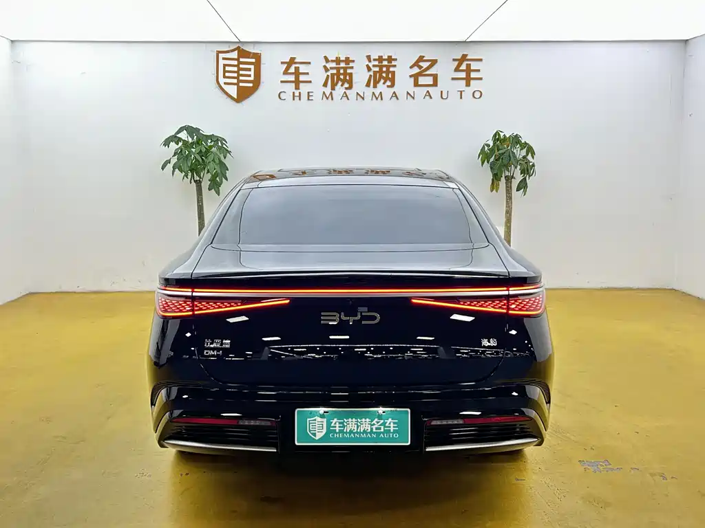 BYD Seal 2024 — фото 10