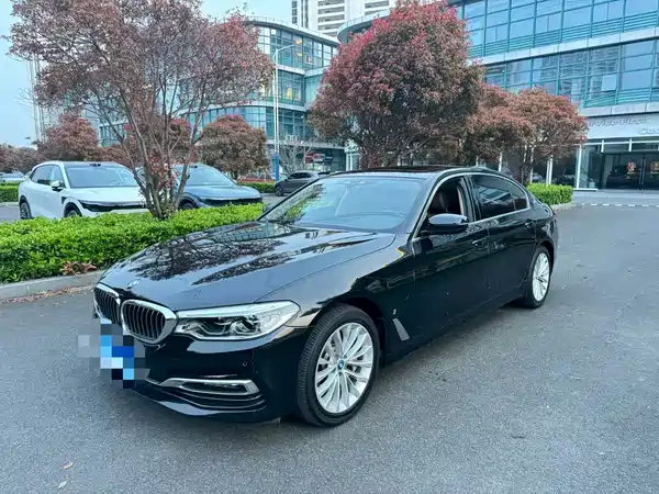 BMW 5 Series New Energy 2019