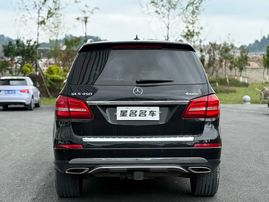 Mercedes-Benz GLS 2018 — фото 13
