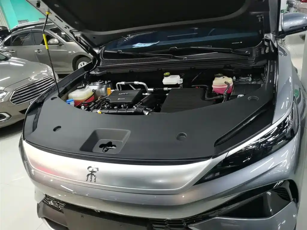 BYD Pro New Energy 2025 — фото 20