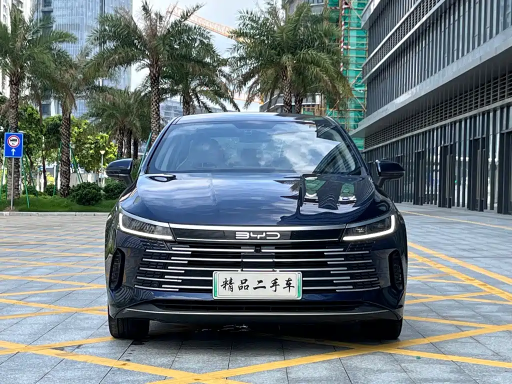 BYD Destroyer 05 2024 — фото 2