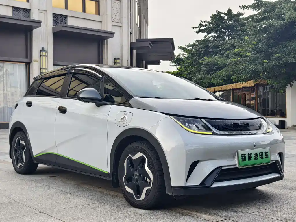 BYD Dolphin 2022