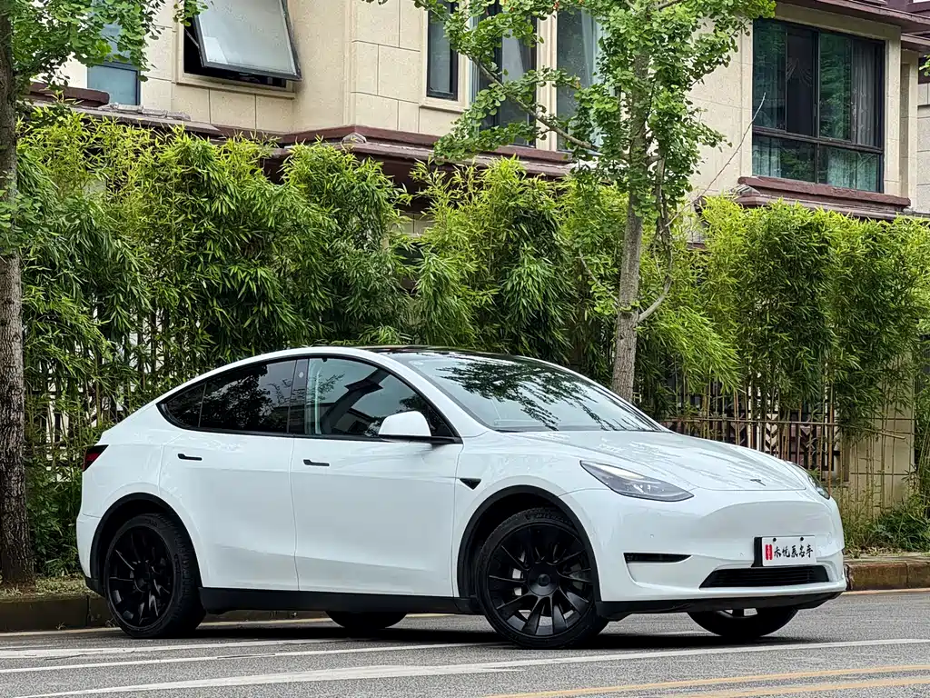 Tesla Model Y 2021 — фото 3