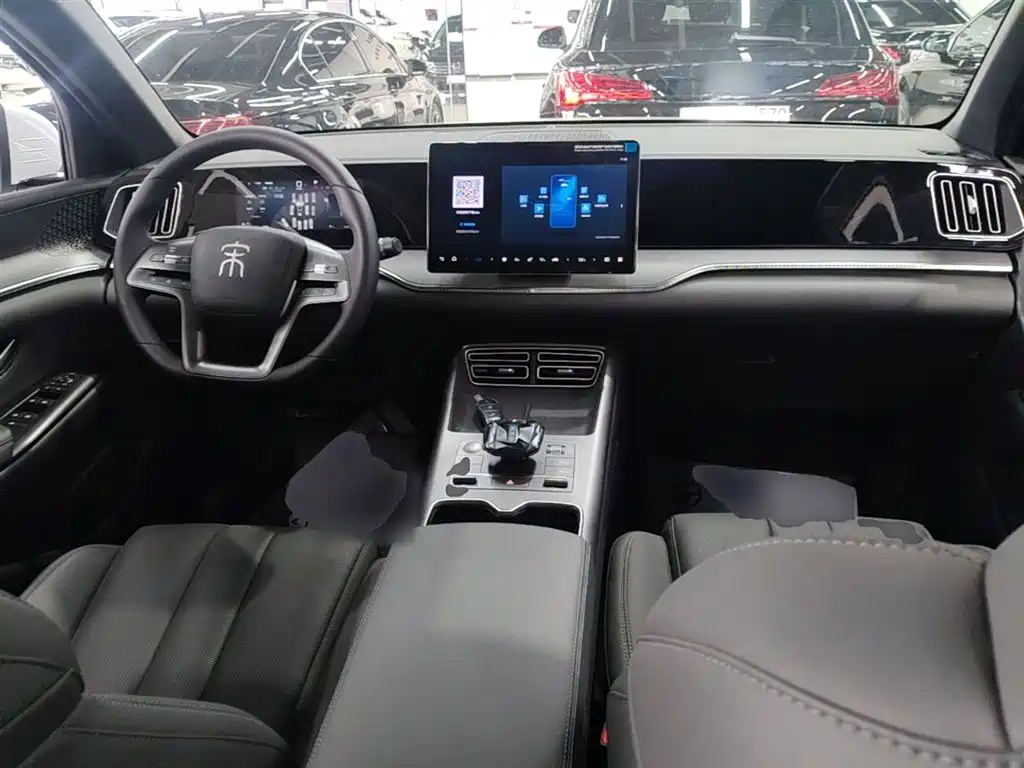 BYD Pro New Energy 2025 — фото 10