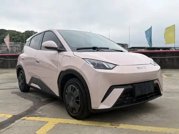 BYD Seagull 2024