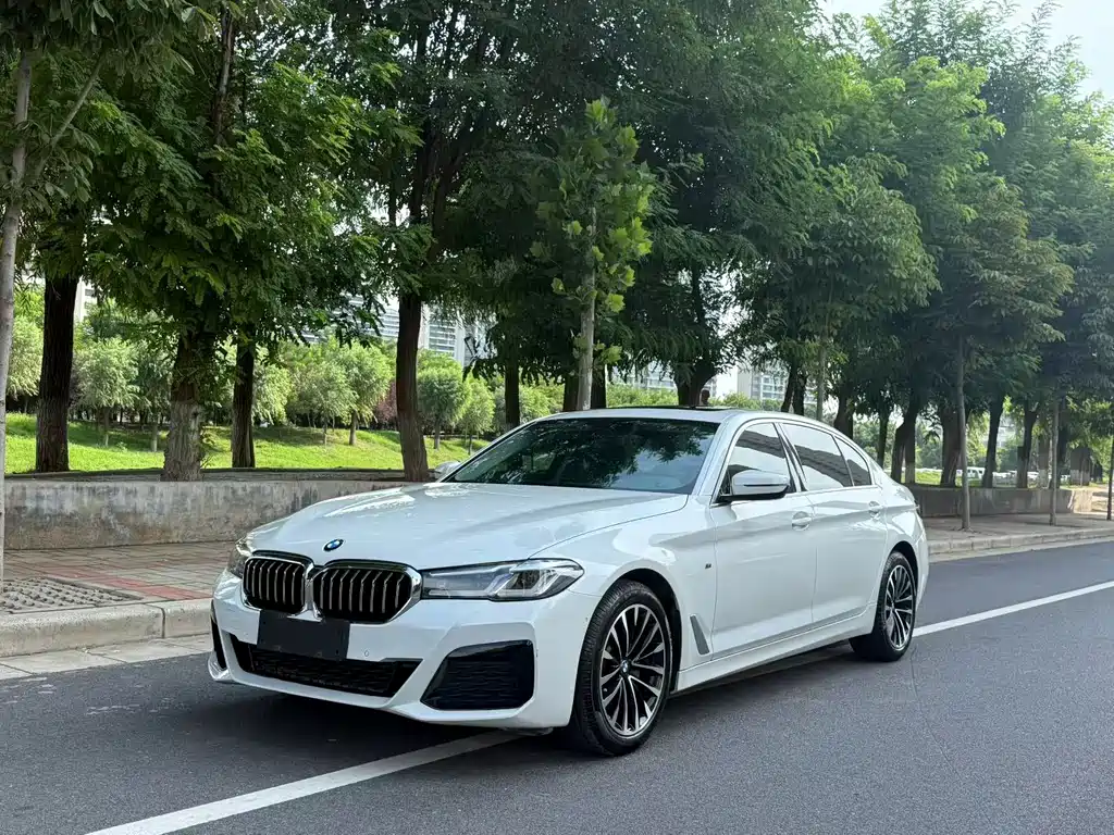 BMW 5 Series 2019