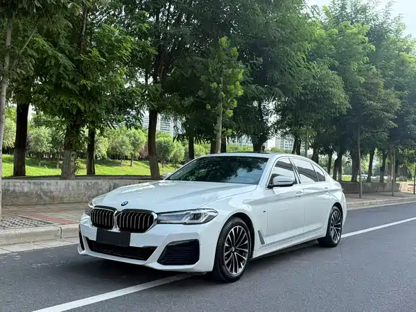 BMW 5 Series 2019