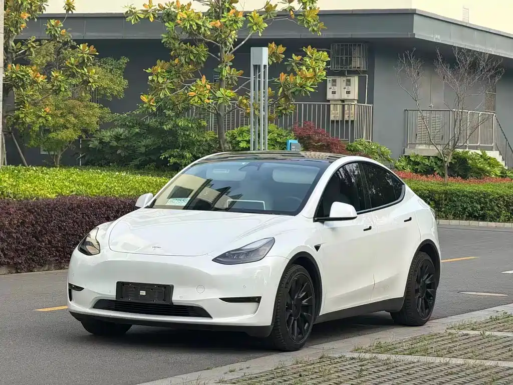 Tesla Model Y 2021 — фото 3