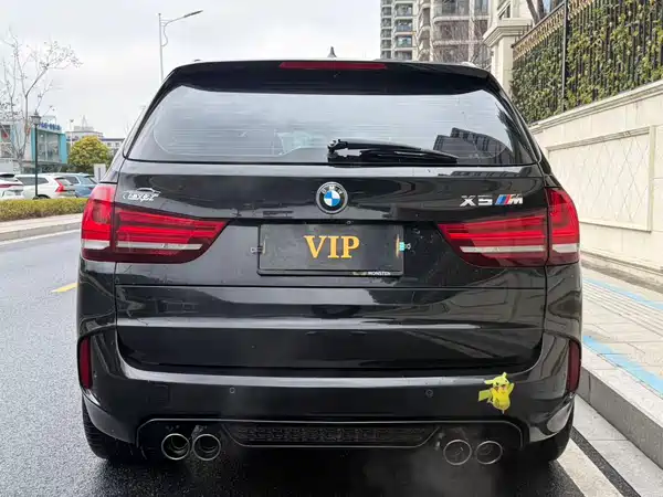 BMW X5 2014
