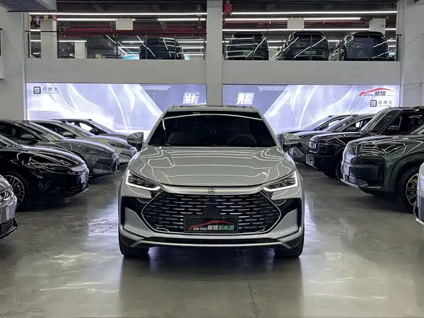 BYD Tang New Energy 2024
