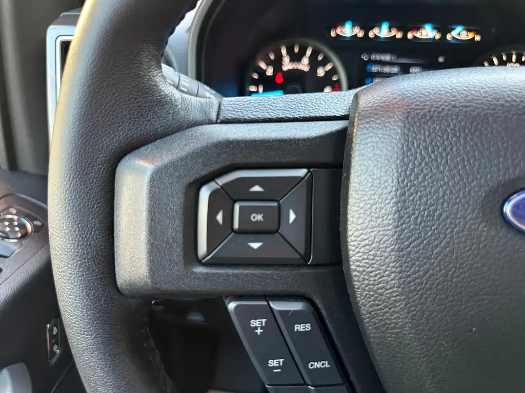 Ford F-150 Raptor 2019 — фото 18