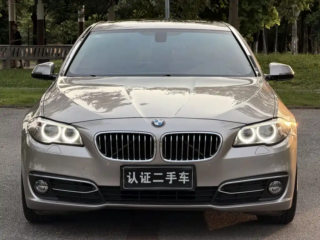 BMW 5 Series 2015