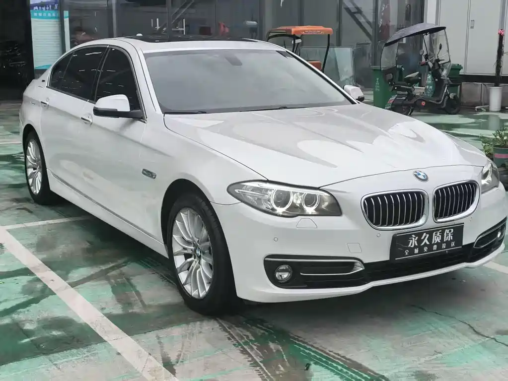 BMW 5 Series New Energy 2016
