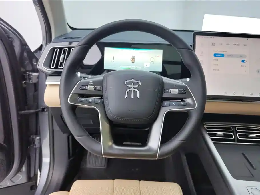 BYD Song Pro New Energy 2024 — фото 15