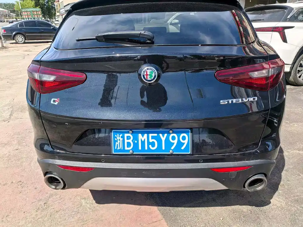 Alfa Romeo Stelvio 2019 — фото 5
