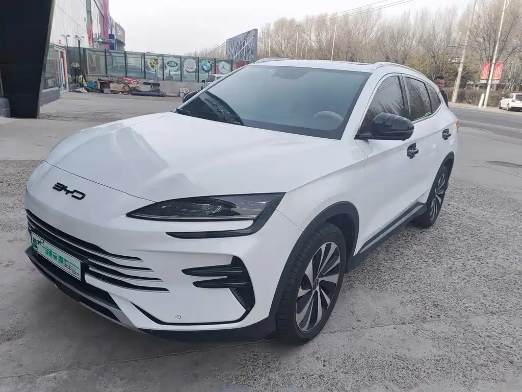 BYD PLUS New Energy 2024 — фото 1