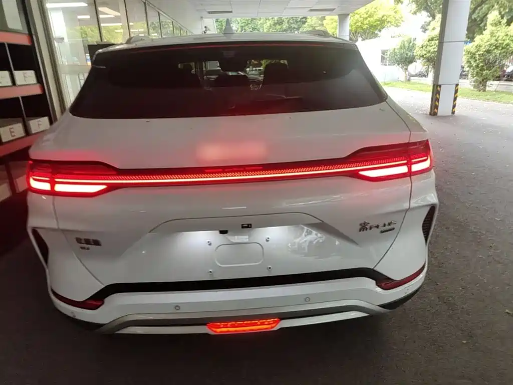 BYD PLUS New Energy 2025 — фото 6