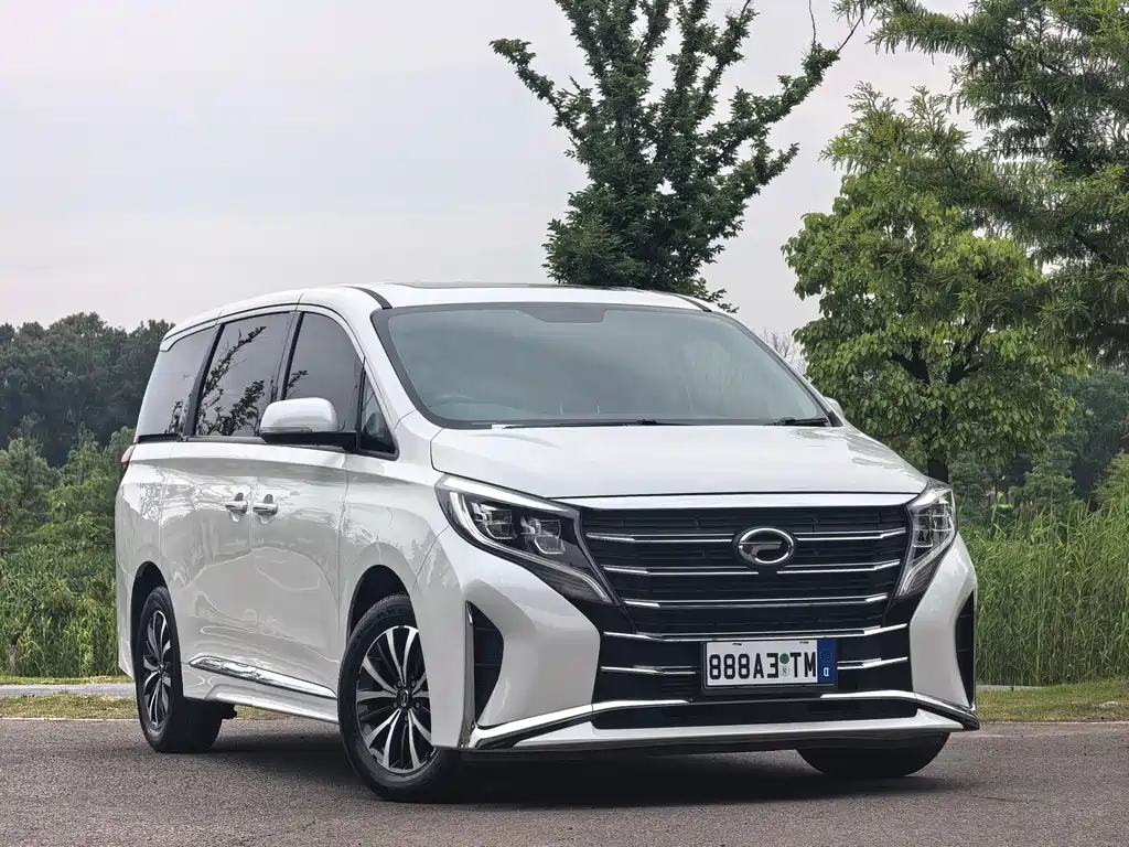 GAC Motor Trumpchi M8 2024 — фото 3
