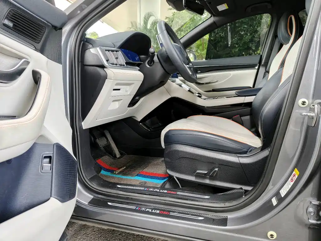 BYD PLUS New Energy 2022 — фото 12