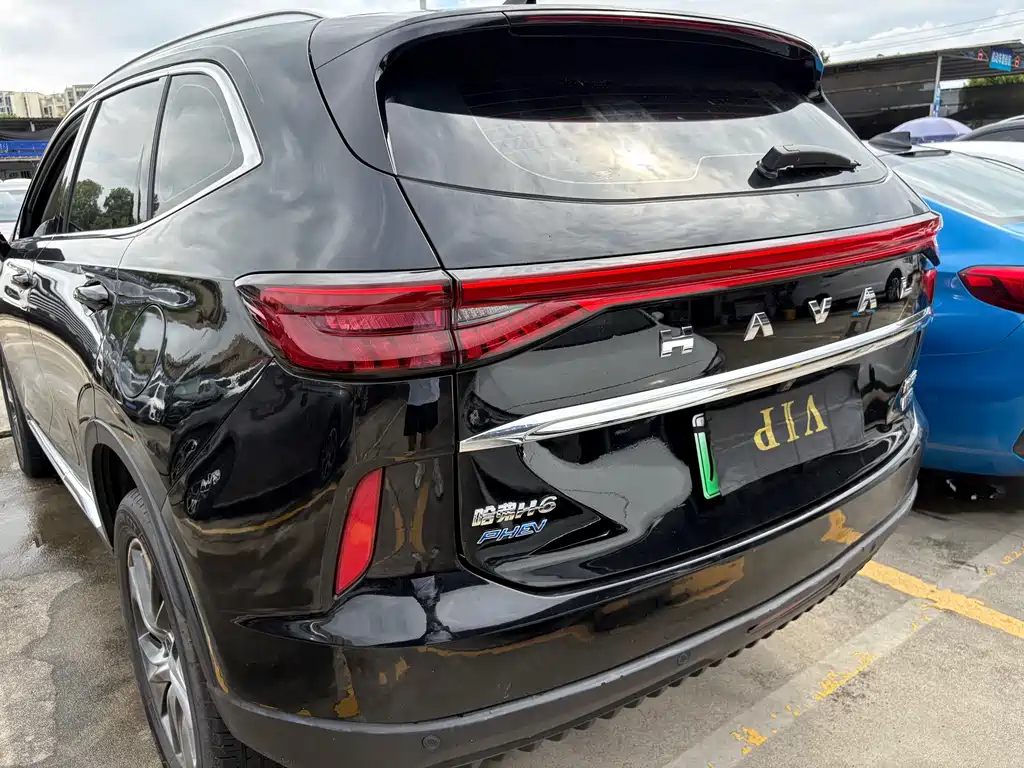 Haval H6 New Energy 2022 — фото 10