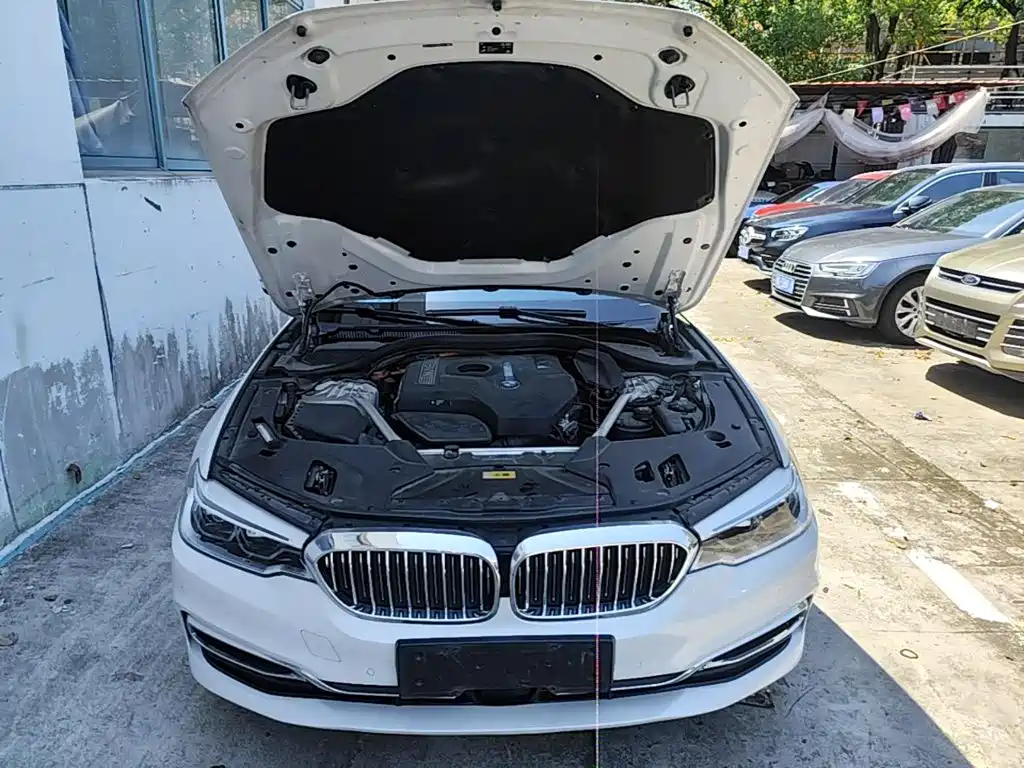 BMW 5 Series New Energy 2020 — фото 20