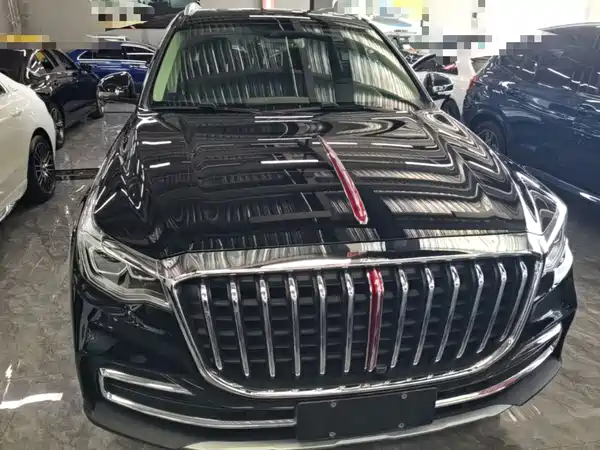 Hongqi HS7 2021