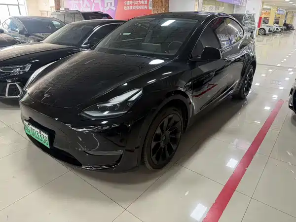 Tesla Model Y 2021