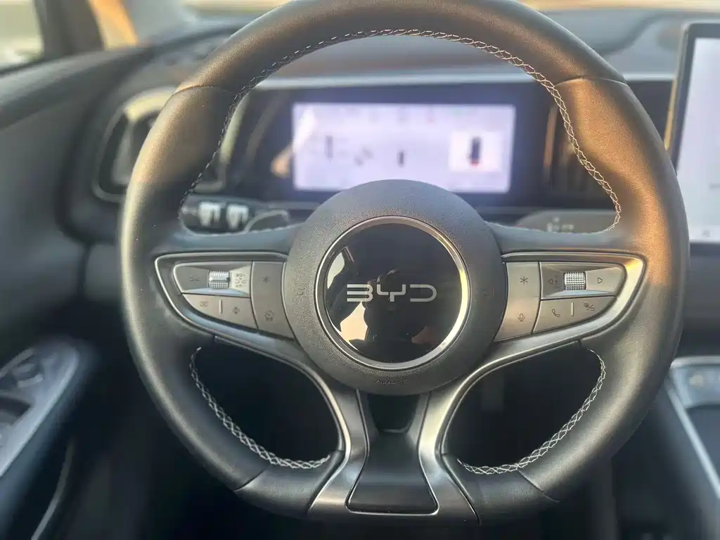 BYD Sealion 05 EV 2025 — фото 18