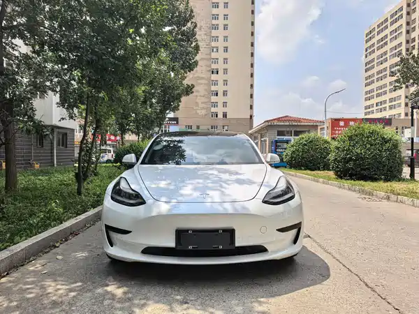 Tesla Model 3 2020