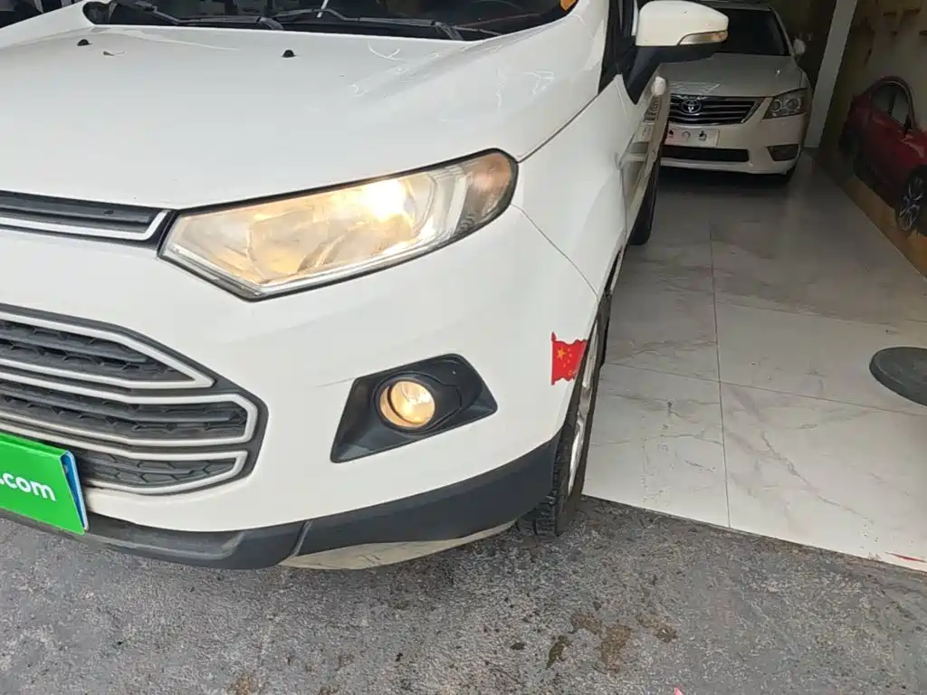 Ford EcoSport 2014 — фото 24