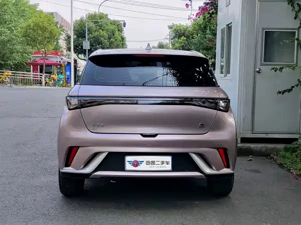 BYD Dolphin 2021