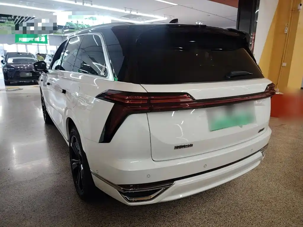 Wey Lanshan 2023