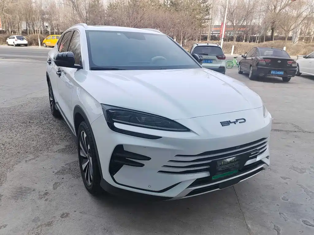 BYD PLUS New Energy 2024 — фото 2