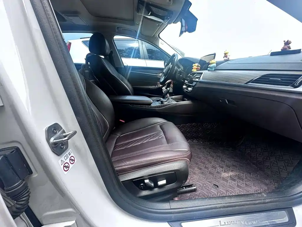 BMW 5 Series 2018 — фото 13