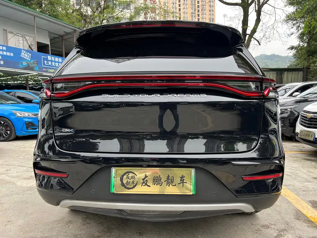 BYD Tang New Energy 2023 — фото 19