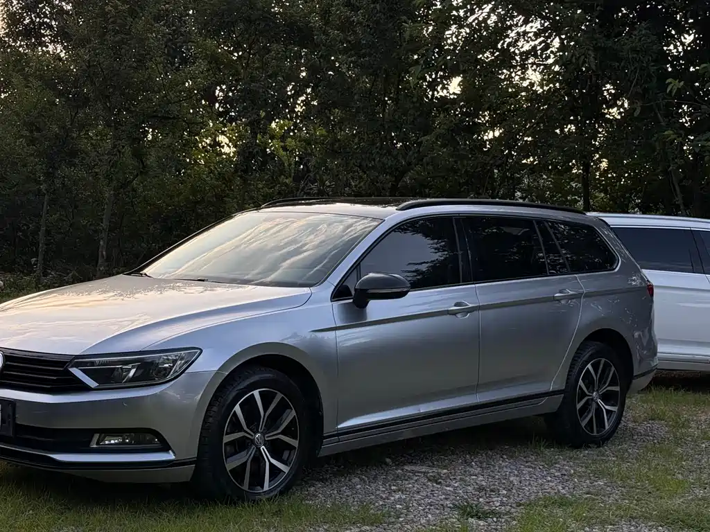 Volkswagen Viloran 2019 — фото 14