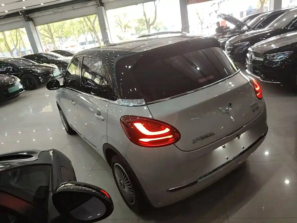 Wuling Bingo 2024