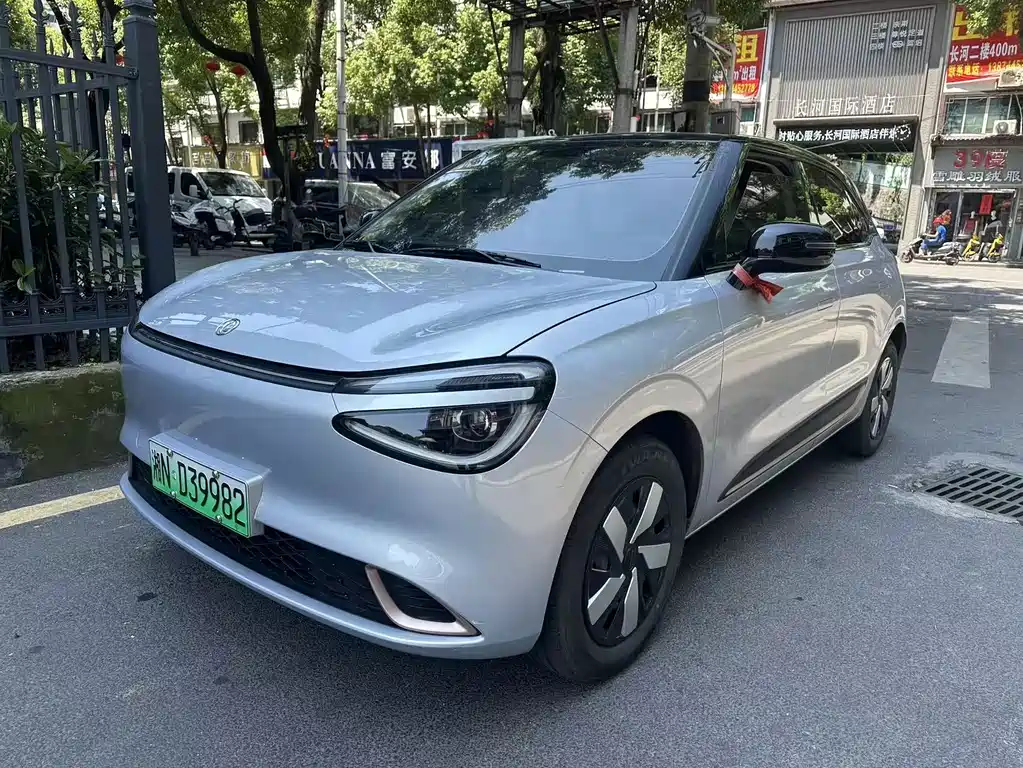 Dongfeng Nano 01 2025