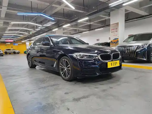 BMW 5 Series 2019