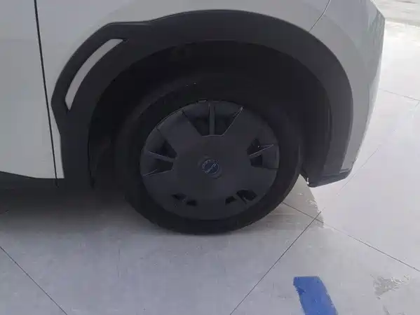 BYD Seagull 2024