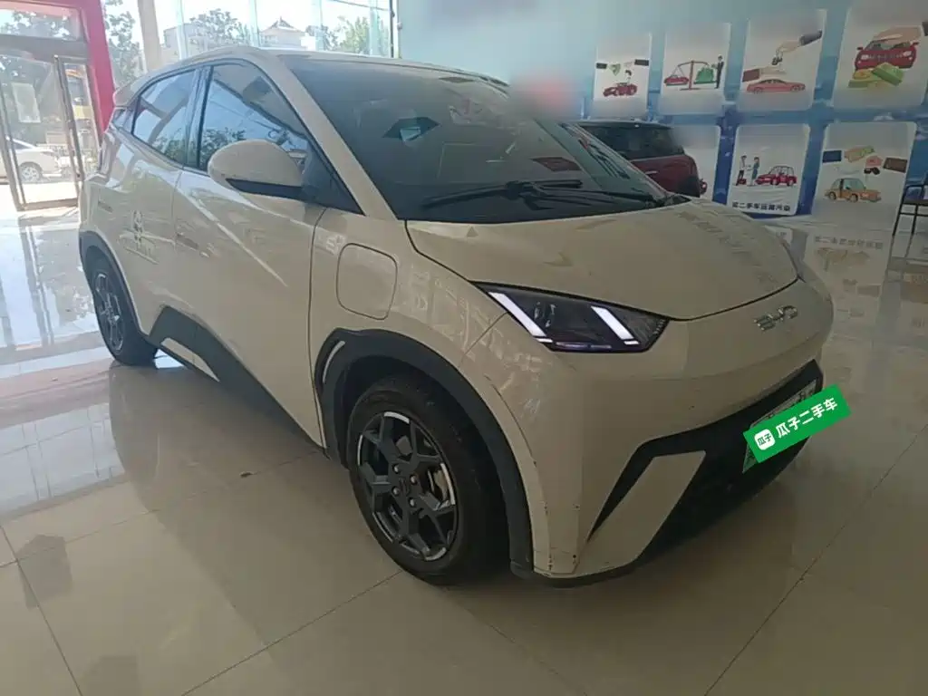 BYD Seagull 2024