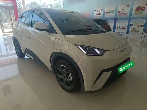 BYD Seagull 2024